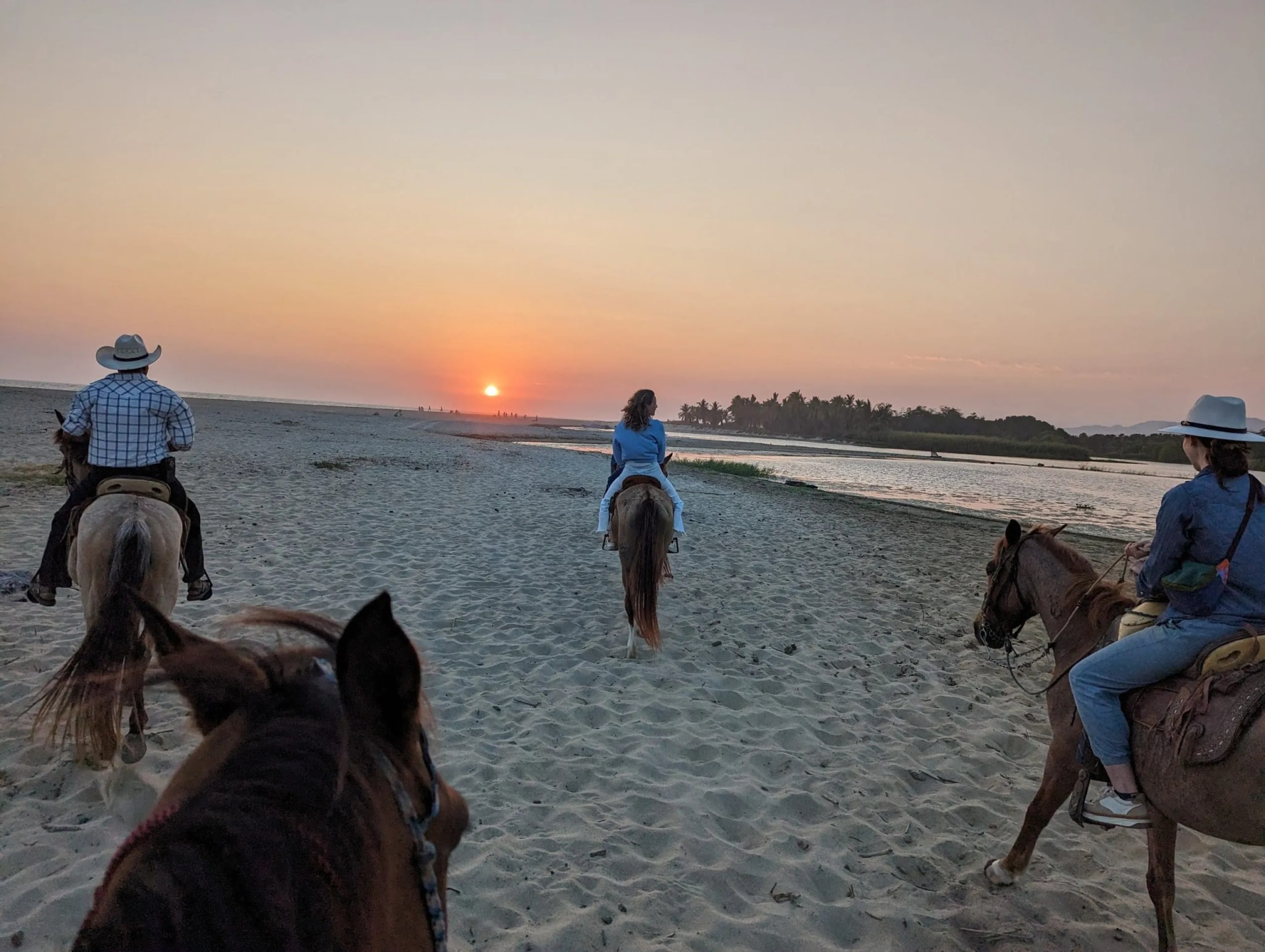 Sunset rides